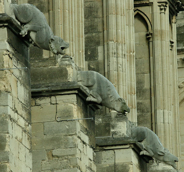 fall 2007