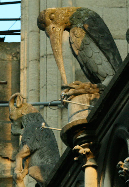 fall 2007