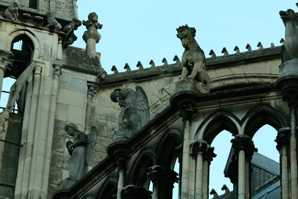 fall 2007